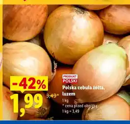 Lidl Cebula żółta polska Ryneczek Lidla oferta