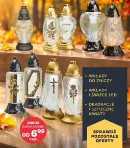 Netto Znicze (różne rodzaje) oferta