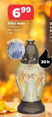 Netto Znicz Aura oferta