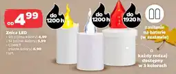 Netto Znicz LED oferta