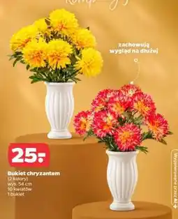 Netto Bukiet chryzantem oferta