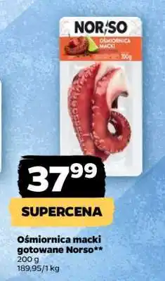 Netto Ośmiornica macki gotowane Norso oferta