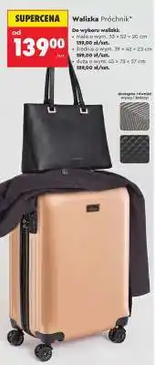 Biedronka Walizka Próchnik oferta