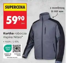 Biedronka Kurtka robocza męska Niteo oferta