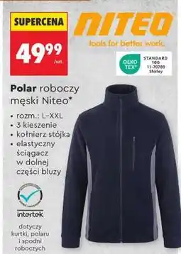 Biedronka Polar roboczy męski Niteo oferta