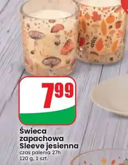 Dino Świeca zapachowa Sleeve jesienna oferta