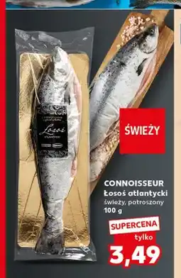 Kaufland Łosoś atlantycki świeży patroszony Connoisseur oferta