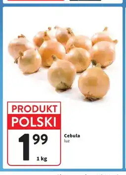 Intermarche Cebula oferta