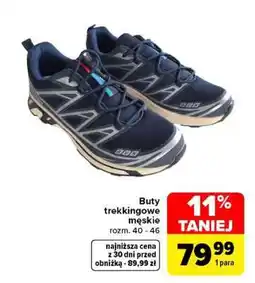 Carrefour Buty trekkingowe męskie oferta