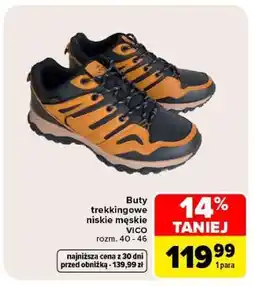 Carrefour Buty trekkingowe niskie męskie oferta