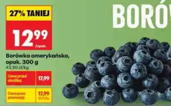 Biedronka Borówka amerykańska opak 300 g oferta