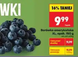 Biedronka Borówka amerykańska XL, opak. 150 g oferta