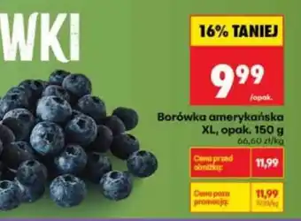 Biedronka Borówka amerykańska XL, opak. 150 g oferta