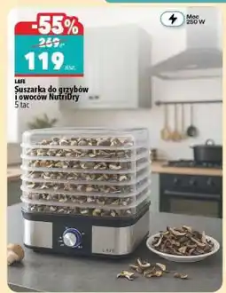 Biedronka Suszarka do grzybów i owoców NutriDry oferta