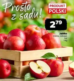 Netto Jabłko oferta