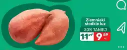 Biedronka Ziemniaki słodkie luz oferta