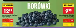 Biedronka Borówka amerykańska opak 300 g oferta