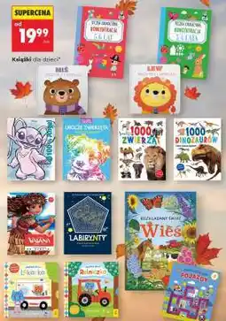 Biedronka Książki dla dzieci oferta