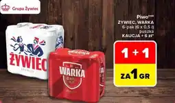 Carrefour Piwo ŻYWIEC, WARKA oferta