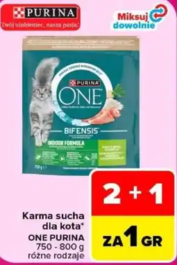 Carrefour Karma sucha dla kota ONE PURINA oferta