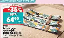 Biedronka Zestaw gum oporowych Spokey Home Jungle Set 3 szt., różne poziomy oporu oferta