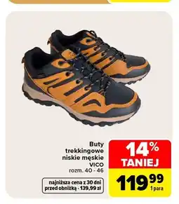 Carrefour Buty trekkingowe niskie męskie Vico oferta