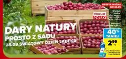 Carrefour Jabłka Red Prince oferta