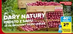 Carrefour Jabłka polskie Red Prince oferta
