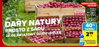 Carrefour Jabłka polskie Red Prince oferta