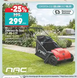 Biedronka Zbieracz do liści LP-HS-S19 Nac oferta