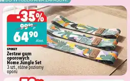 Biedronka Zestaw gum oporowych Home Jungle Set Spokey oferta