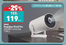 Biedronka Projektor Vivid Pro Tracer oferta