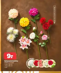 Netto Sztuczne kwiaty oferta