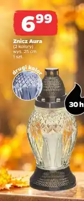 Netto Znicz Aura oferta