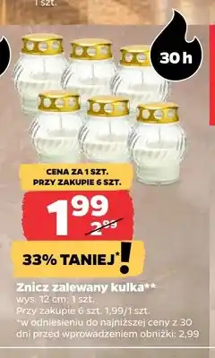 Netto Znicz zalewany kulka oferta