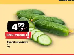 Netto Ogórki gruntowe oferta