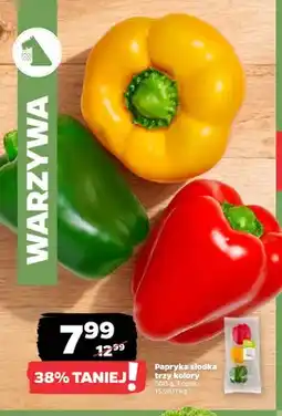 Netto Papryka słodka trzy kolory oferta