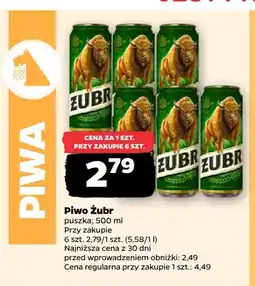 Netto Piwo Żubr oferta