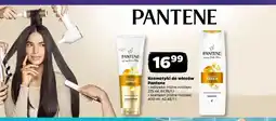 Netto Odżywka do włosów Pantene oferta
