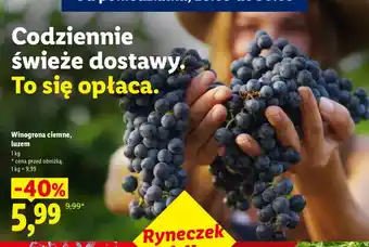 Lidl Winogrona ciemne luzem oferta