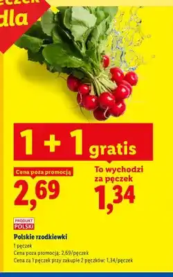 Lidl Rzodkiewki polskie Ryneczek Lidla oferta