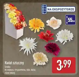 ALDI Kwiat sztuczny oferta