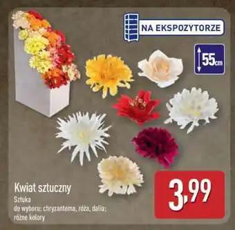 ALDI Kwiat sztuczny oferta