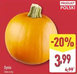 ALDI Dynia oferta