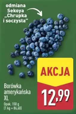 ALDI Borówka amerykańska XL oferta