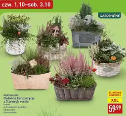 ALDI GARDENLINE Ozdobna kompozycja z 5 żywych roślin oferta