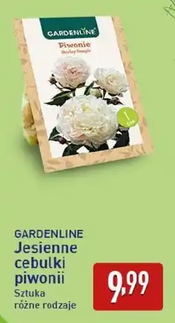 ALDI GARDENLINE Jesienne cebulki piwonii oferta