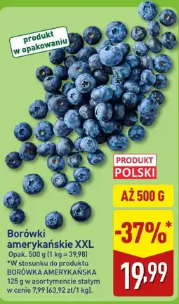 ALDI Borówki amerykańskie XXL oferta