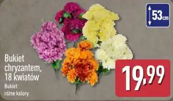 ALDI Bukiet chryzantem oferta