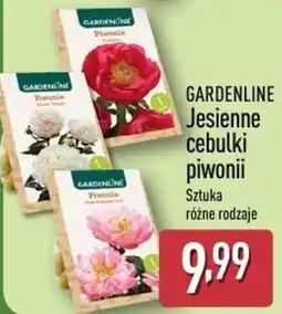 ALDI GARDENLINE Jesienne cebulki piwonii oferta